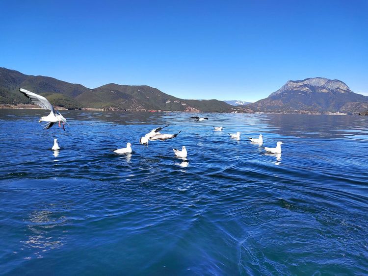 探秘东方女儿国,东方女儿国泸沽湖完整视频