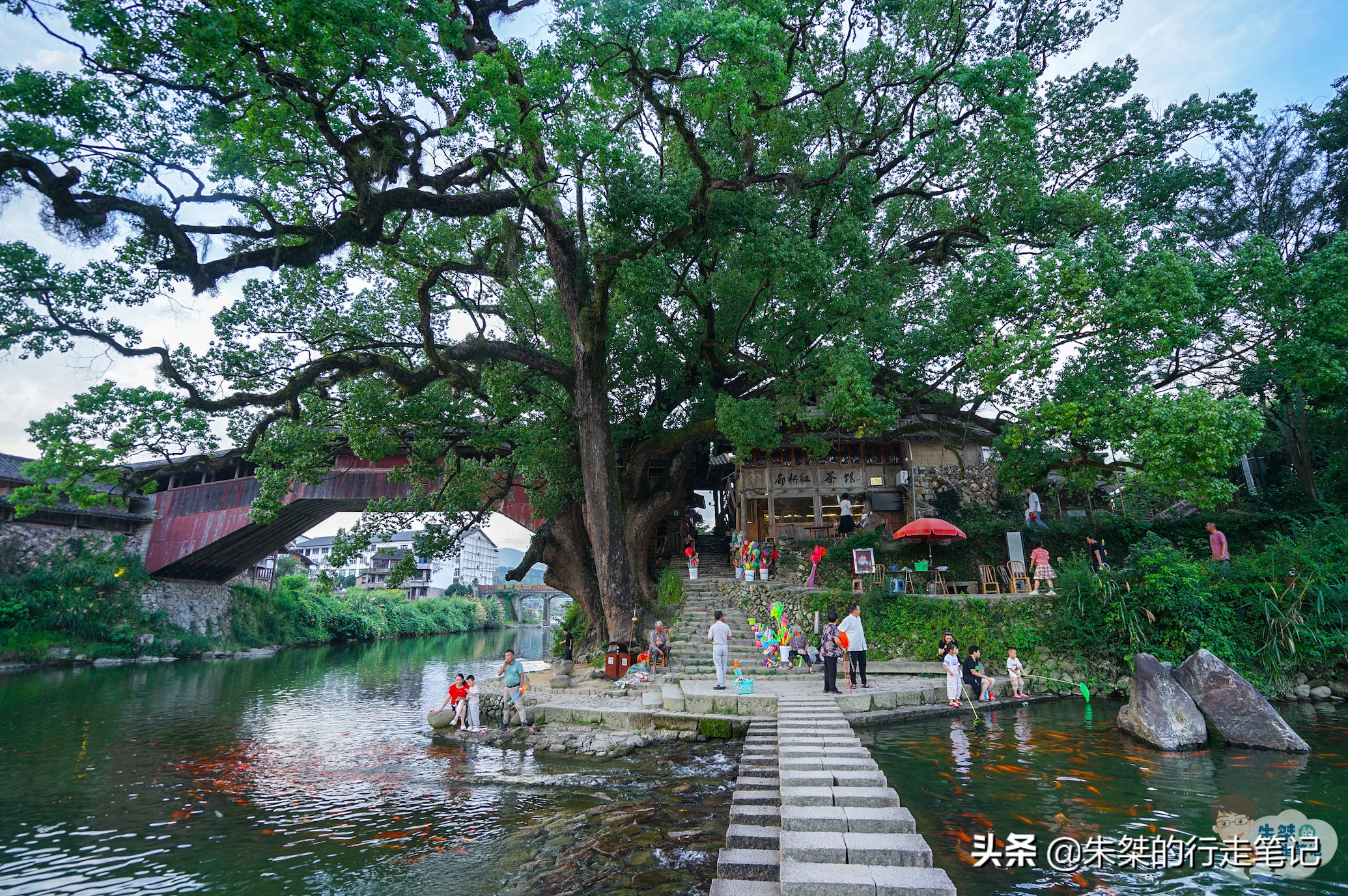 温州旅游区开发投资,温州最大投资项目