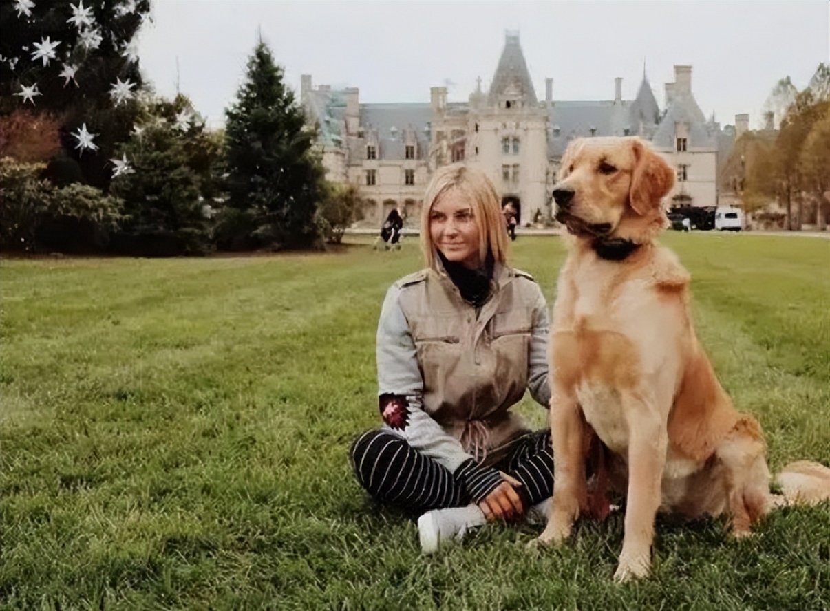 养金毛养什么性别,养金毛它会怎么认主