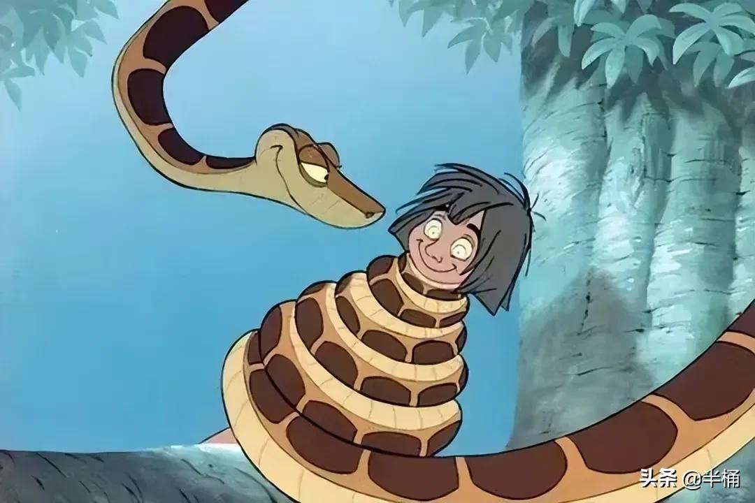 蛇出没的地方怎样预防,野外遇到蛇注意事项