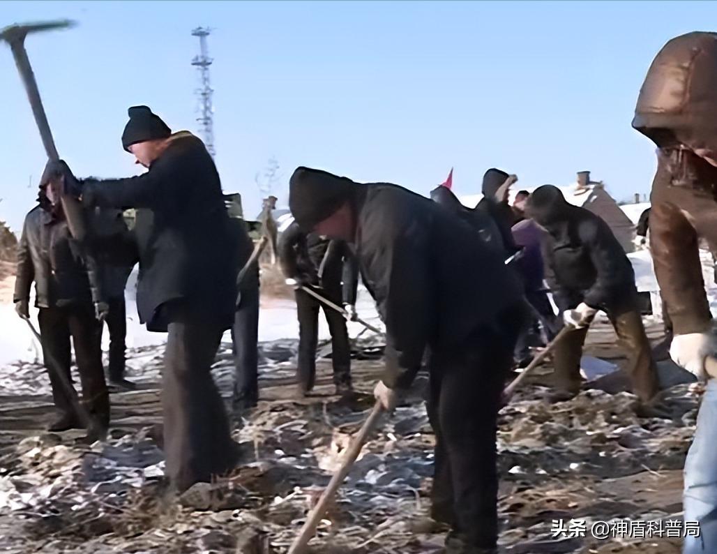 东北小伙发明挖掘机,东北小伙发明强国利器