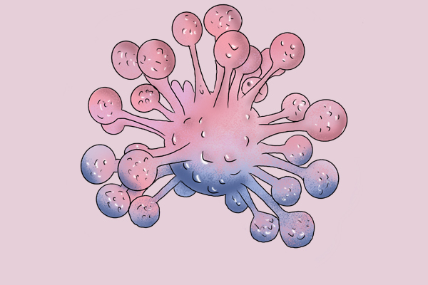 灵芝孢子粉会导致谷丙转氨酶高吗,灵芝孢子粉对转氨酶高有用吗