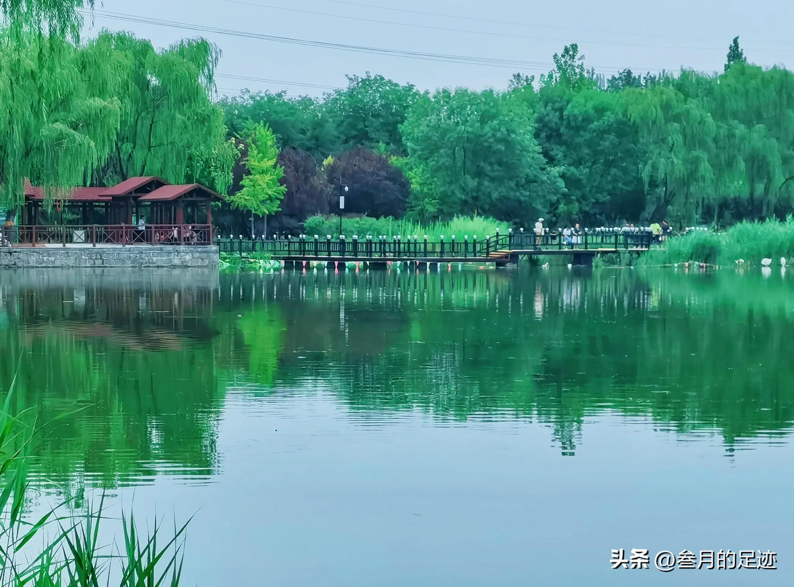 京城初冬最值得去的公园,北京十大公园免费景点