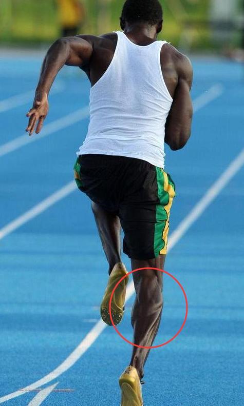 泰森和博尔特的肌肉,泰森的脖子博尔特的小腿