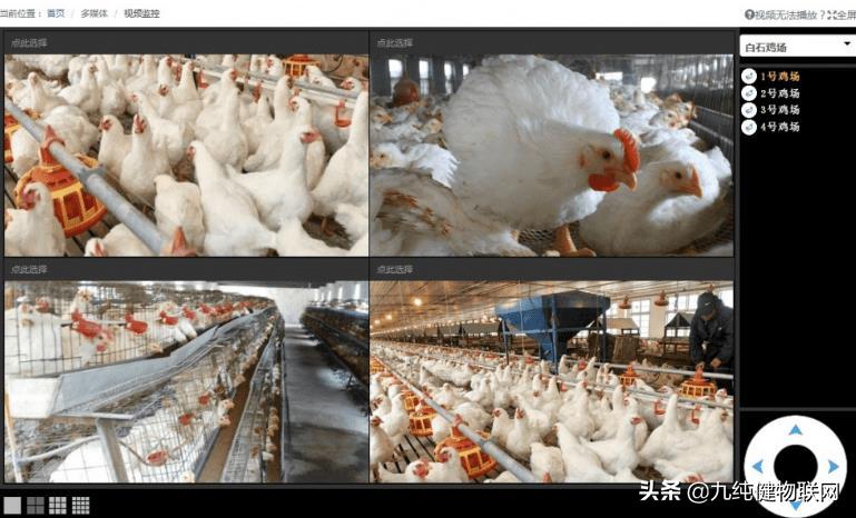 正大梦工厂,正大鸡蛋梦工厂北京