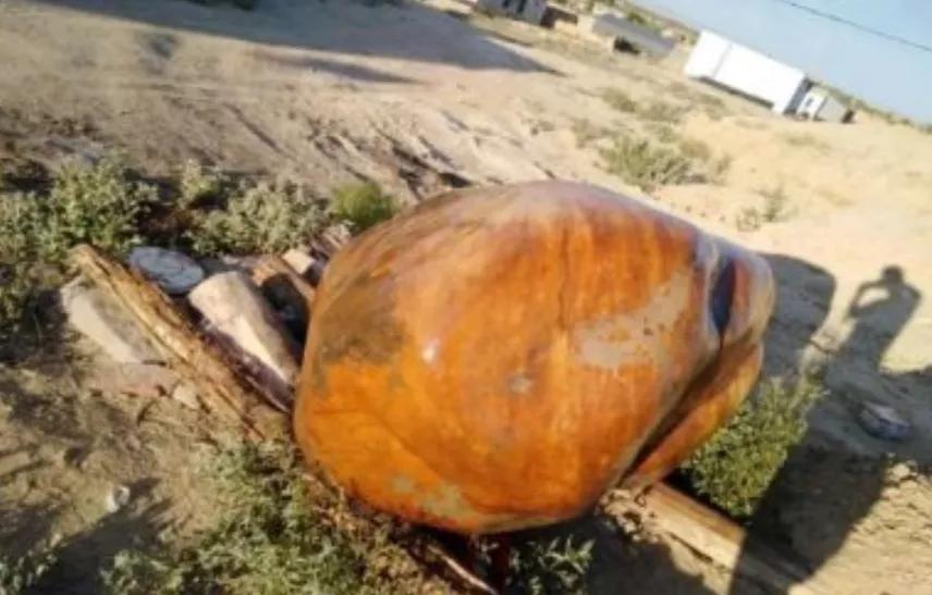 捡石头一天能挣多少,捡石头能赚到钱吗