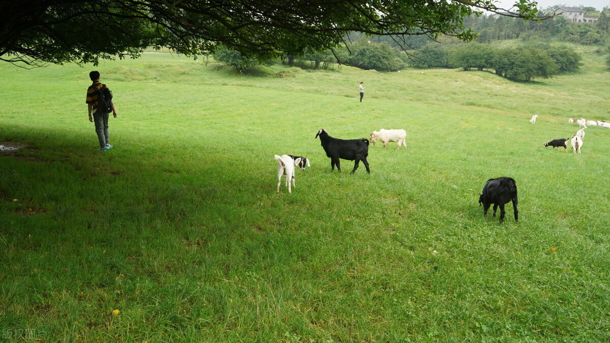 重庆北碚区旅游必去十大景点推荐,重庆江津区旅游必去十大景点推荐