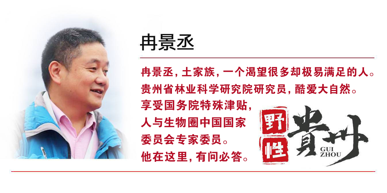 贵州野性,野性贵州有问必答