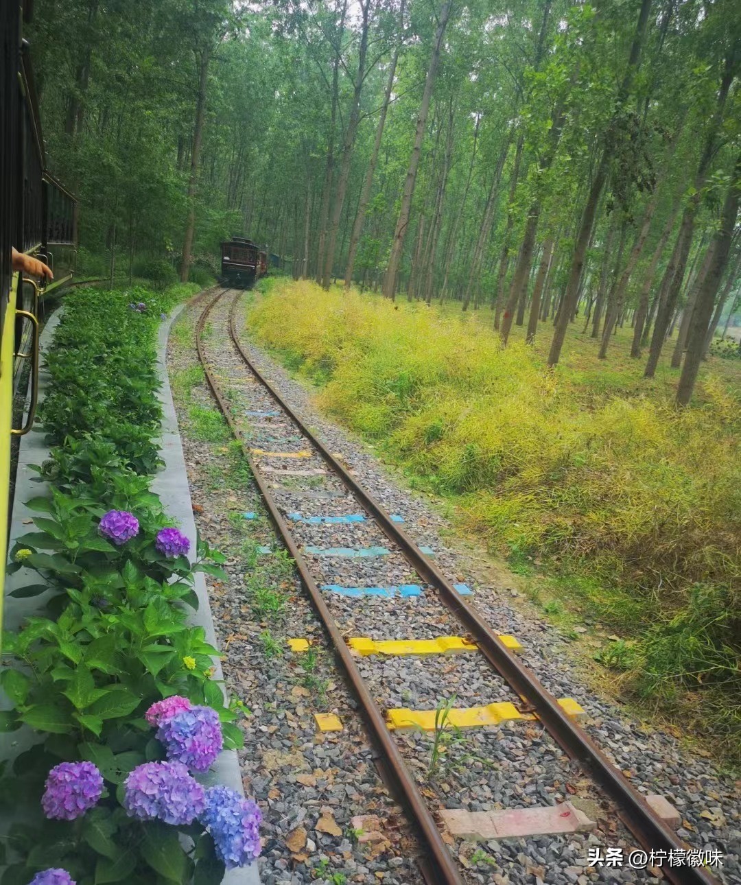 合肥周边小众宝藏旅行地,合肥周末一日游必去景点排行榜