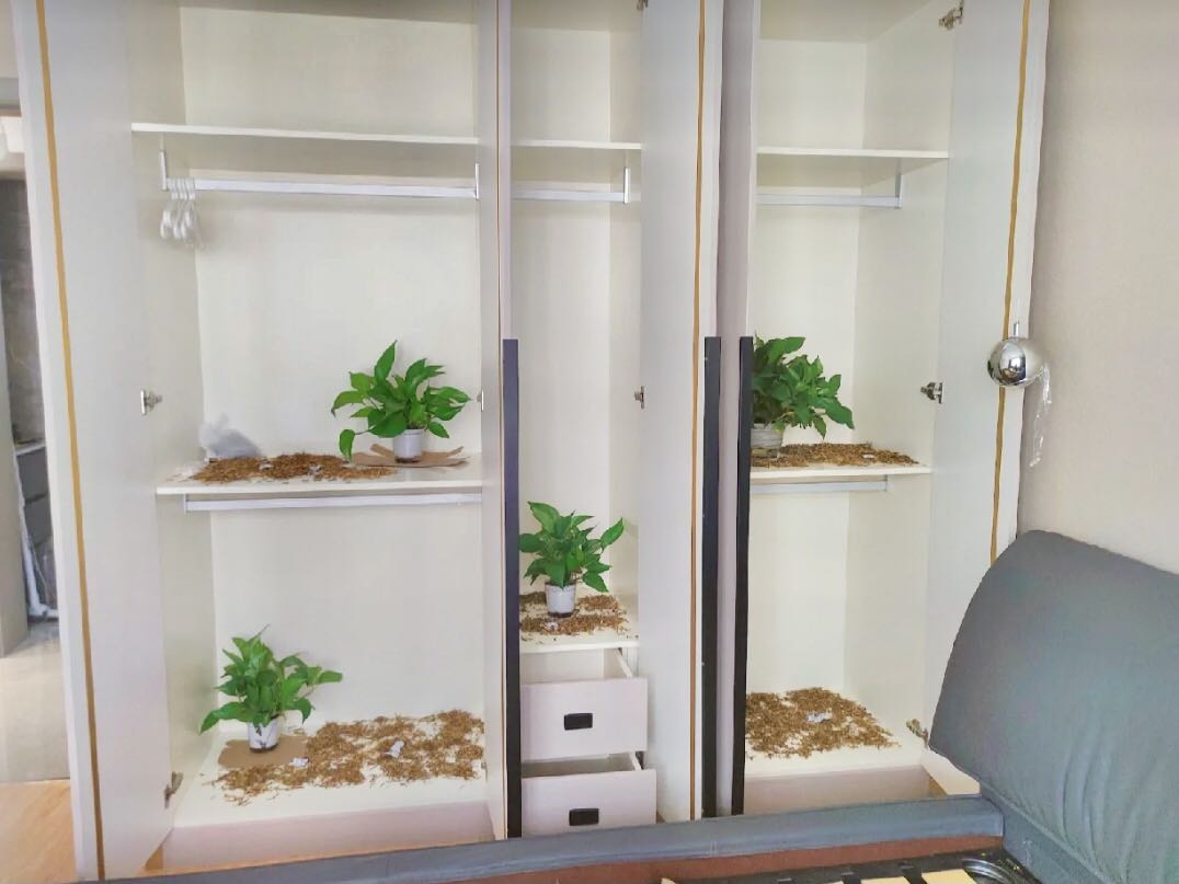 室内去异味除甲醛法宝,除甲醛异味产品第一名