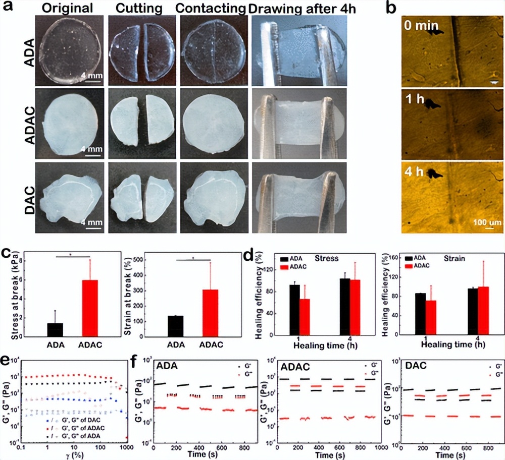 郑大/武汉纺织：自愈透明质酸纳米复合水凝胶
