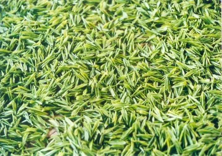 云南最好的10大茶,云南最好的十种茶