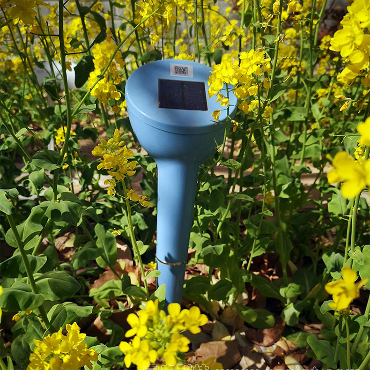 智慧农业之自动墒情监测站,墒情自动监测仪器