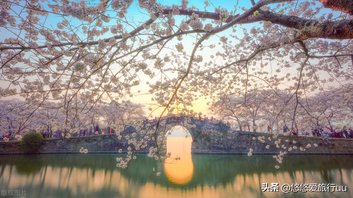 无锡几大景点旅游攻略,去无锡旅游的15个景点