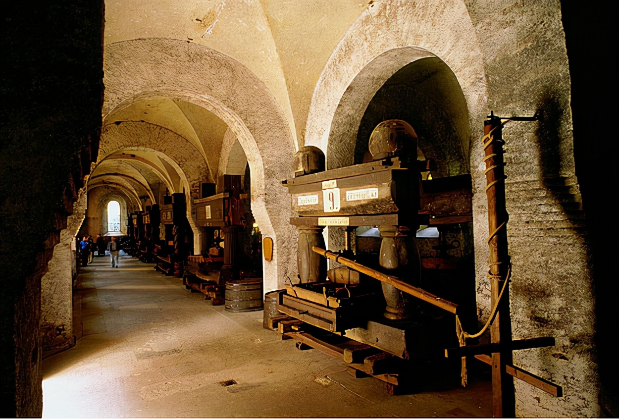 德国葡萄栽培简史,国外葡萄种植全部过程