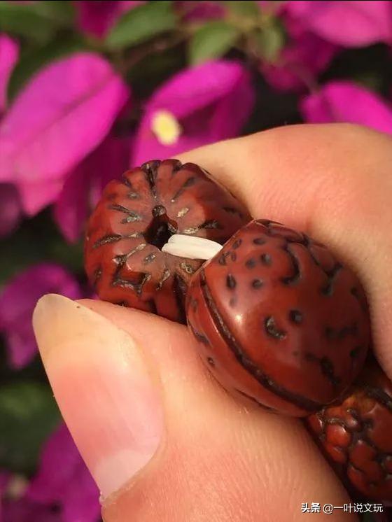 百年老桃核,破桃核可以盘吗