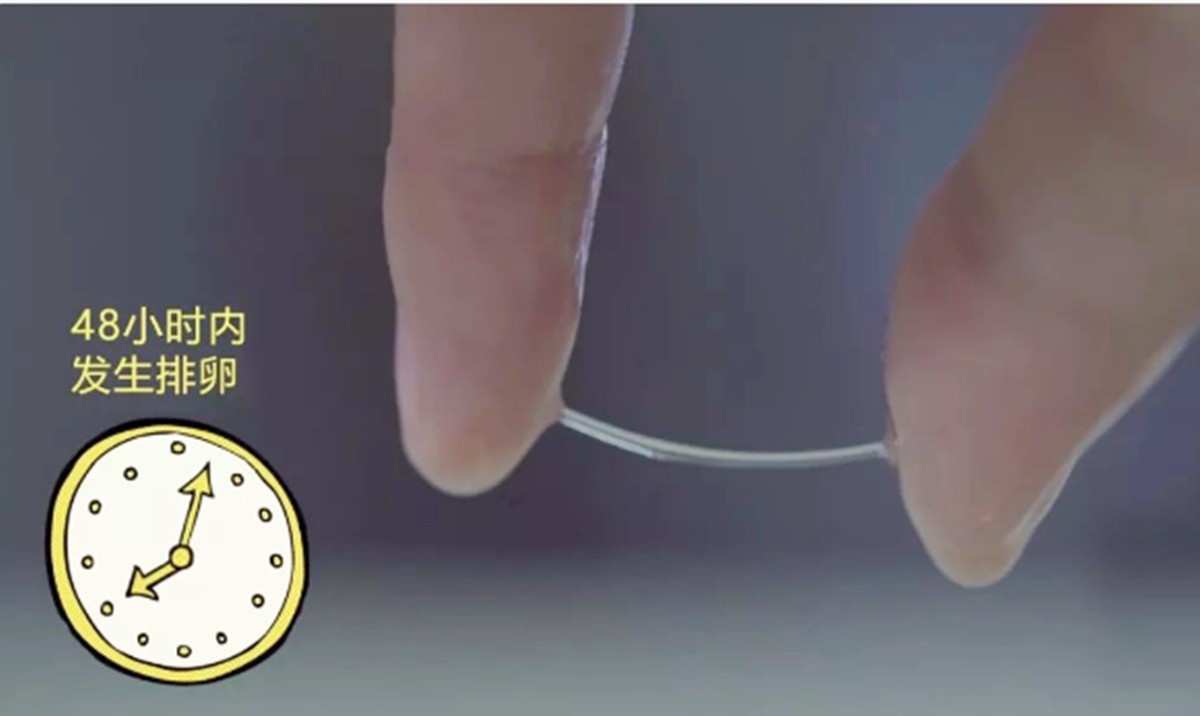 已经是排卵期怎么知道排卵日,排卵期是从哪天开始算是排卵期