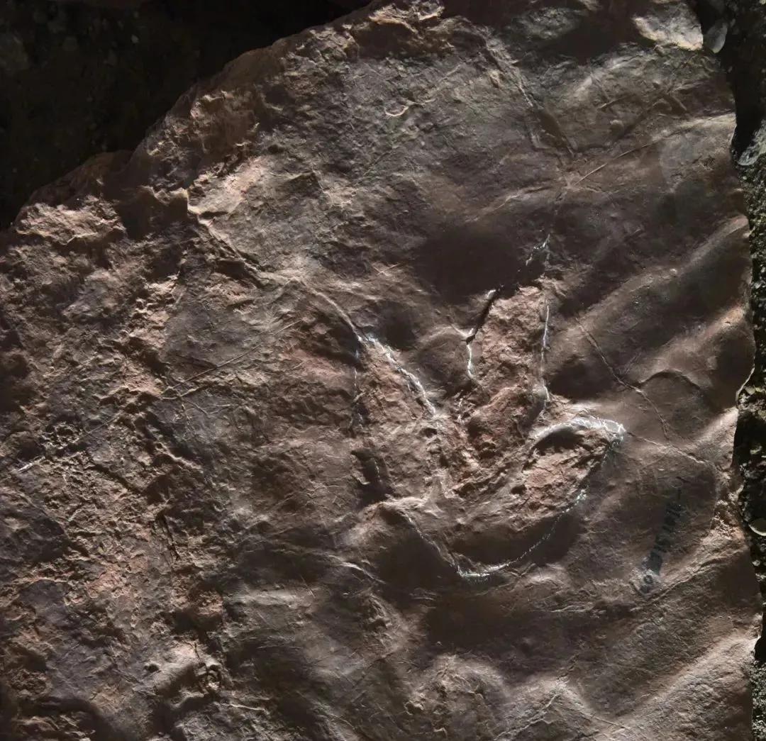 原来你是这样的金秘书,原来你是这样的顾先生电视连续剧