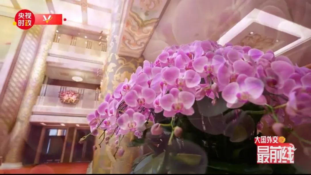 钓鱼台国宾馆外宾会谈,钓鱼台会见