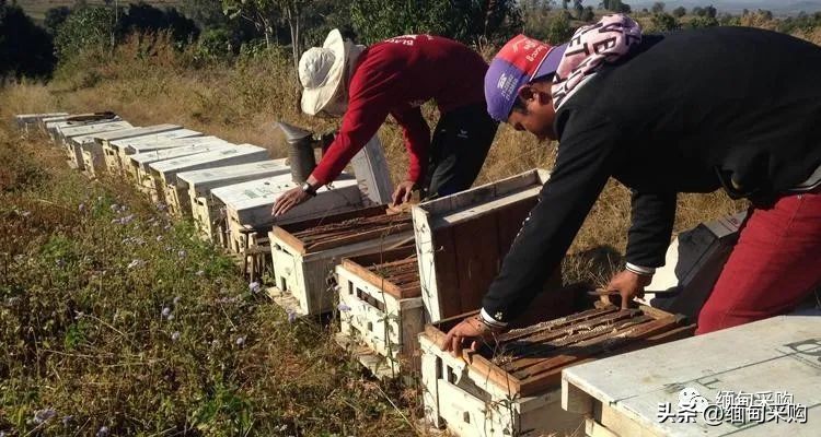 缅甸2022年财政收入,缅甸政府2023年财政预算