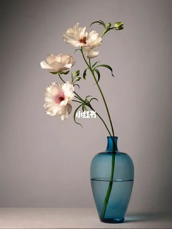 三月花事Vol.2|那些属于女神们的花