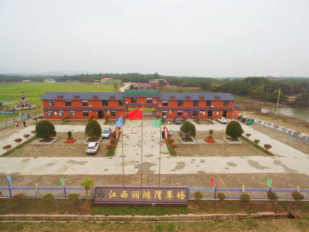 一起约“惠”吧！@上海、全国的游客朋友们，春日游鹰潭优惠来袭