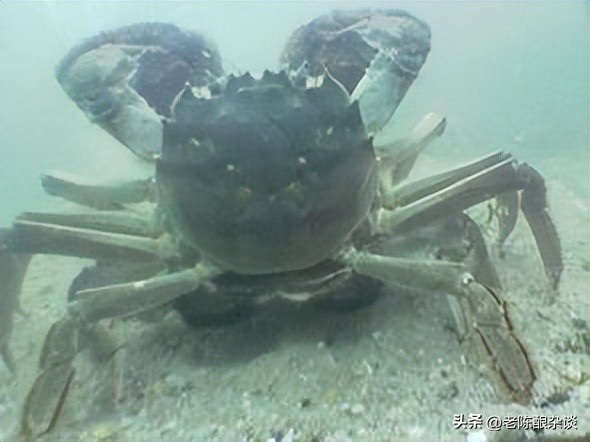 为什么现在戾气越来越大,为什么人们戾气太重了