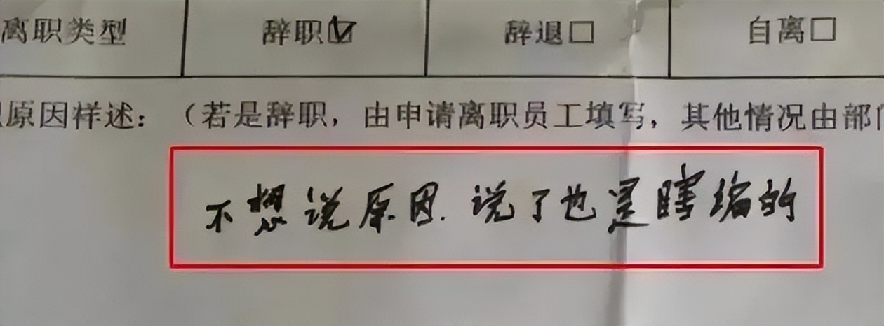 毕业生辞职信走红网友太有个性,00后大学生离职申请