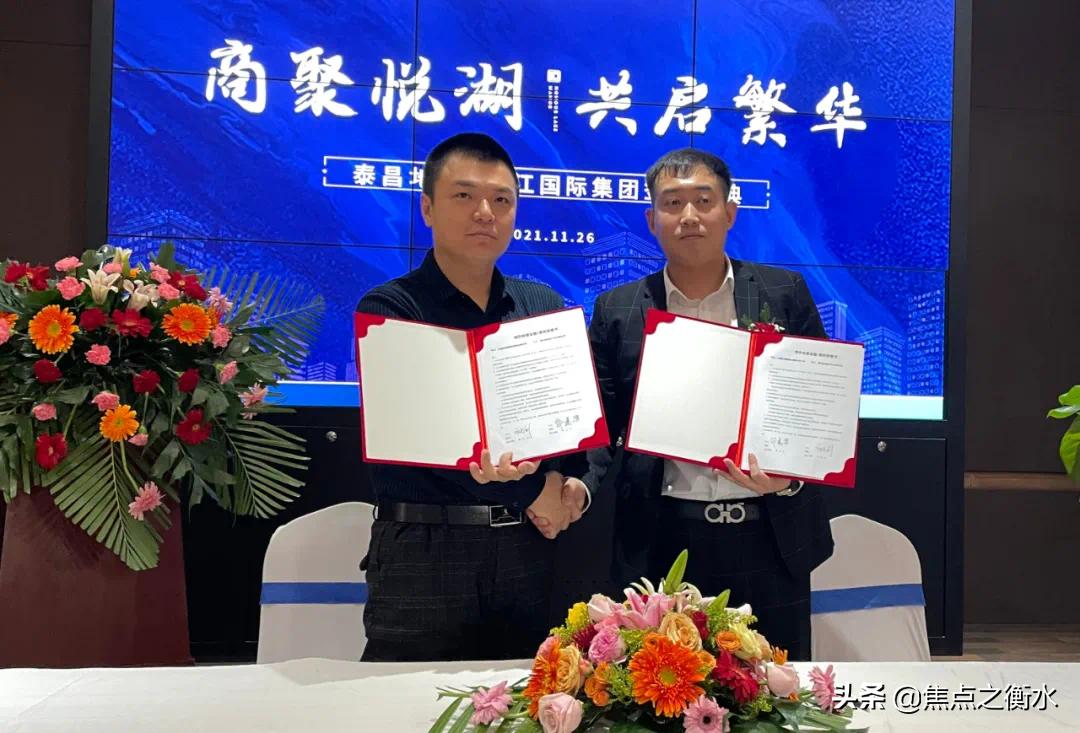 衡水大案件,衡水大事件