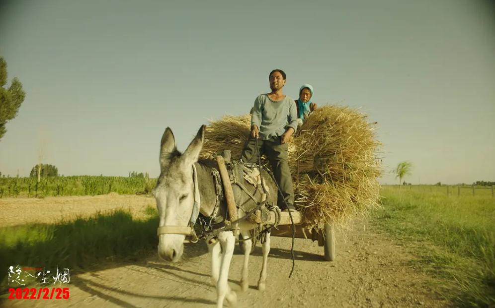 赶在下映前看电影,赶在上班之前去看场电影