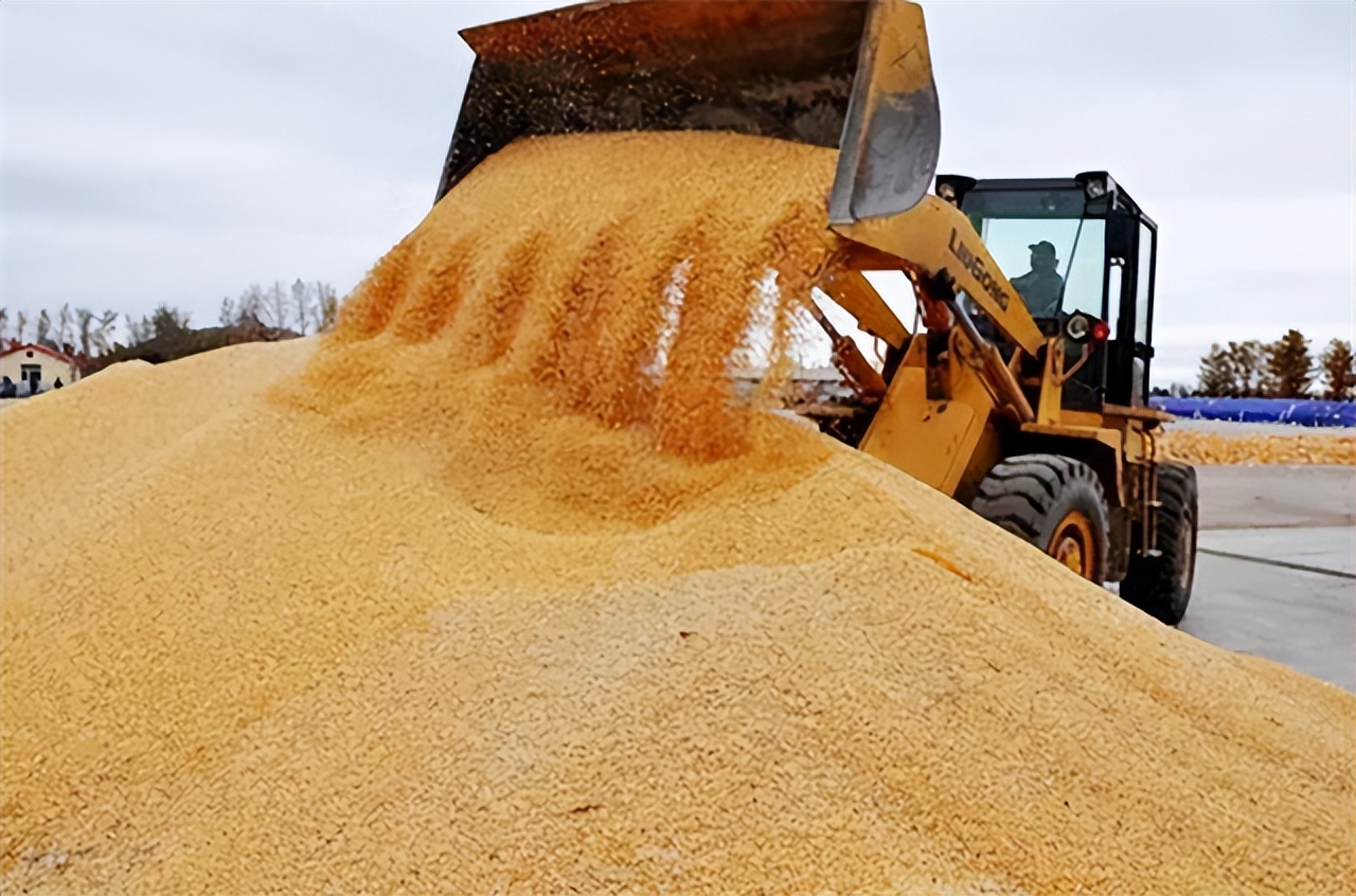 种子战争的危机,种子危机到底多可怕