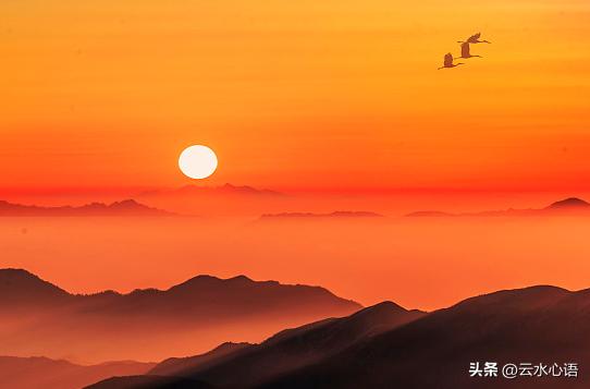 言怀唐寅古诗讲解,唐寅五十言怀诗原文和翻译