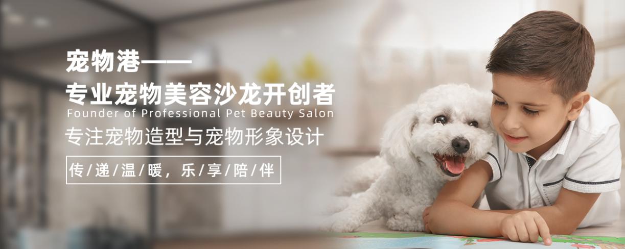 宠物美容加盟靠谱吗,宠物美容加盟排名前十名