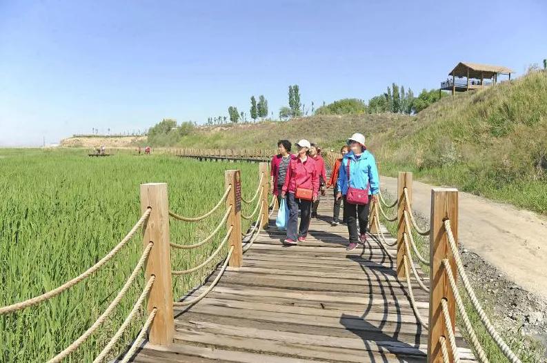 新疆玛纳斯湿地迎来候鸟迁徙,玛纳斯国家湿地公园迎候鸟