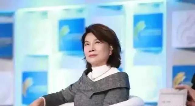 董明珠提的个税改革能通过吗,董明珠提议个税合理吗