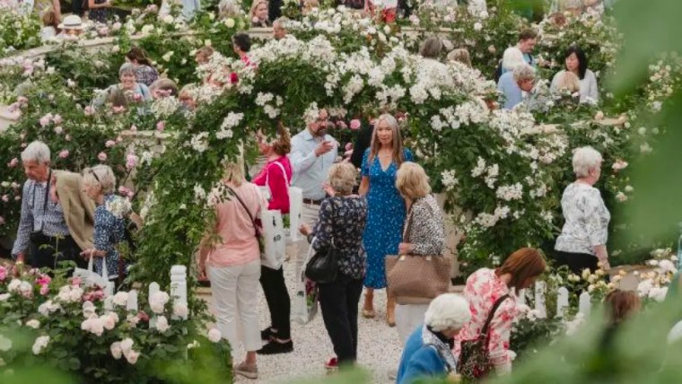英国切尔西花展10张花园图,切尔西花展2019年度植物