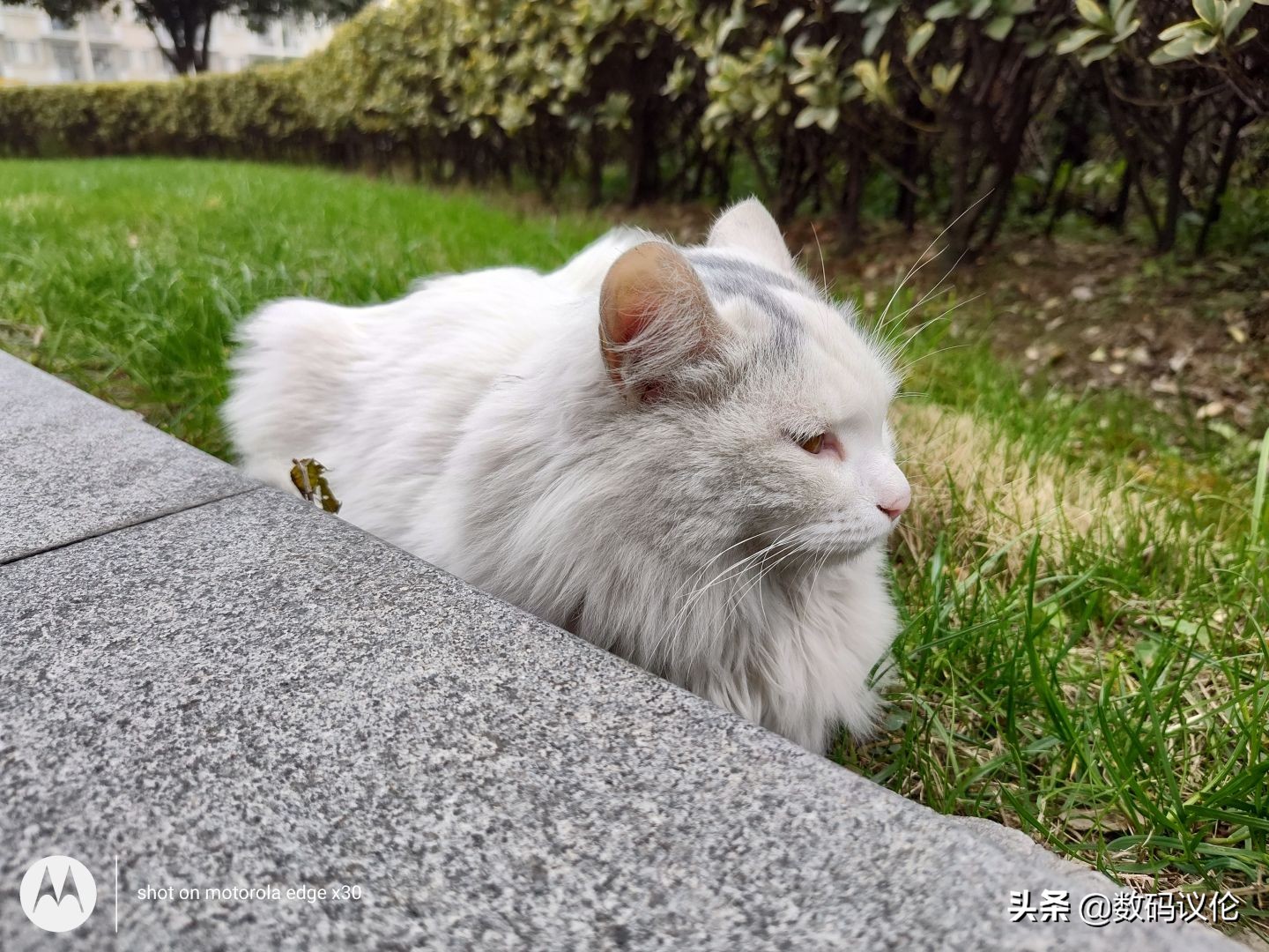 摩托罗拉motoedgex30骁龙8,摩托罗拉motoedgex30优缺点