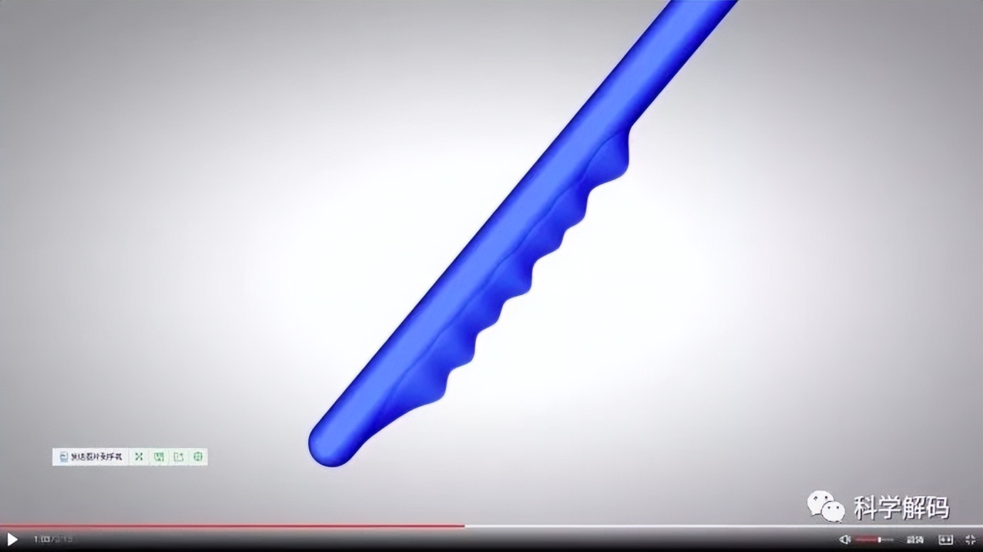 蚊子的嘴解剖,蚊子的内脏解剖照片