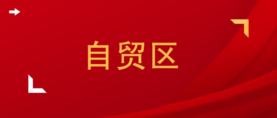 怎么写自贸区相关论文 (自贸区毕业论文怎么写)