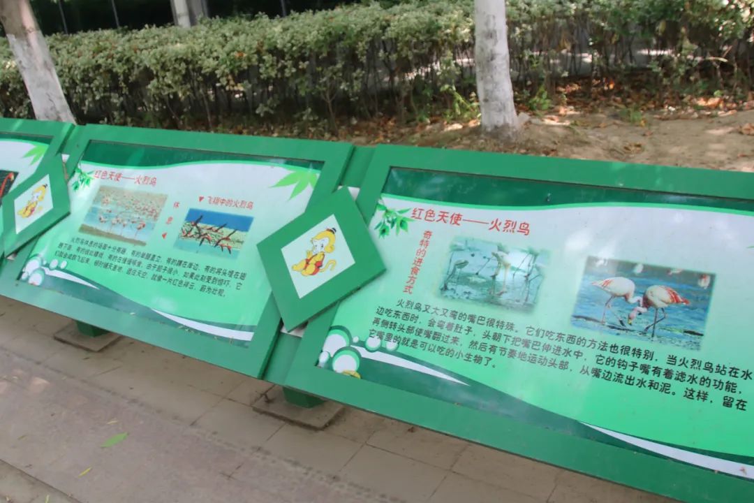 邢台动物园变大了没,淮安动物园开发时间