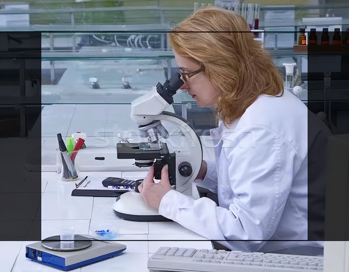 黄金比目鱼是多宝鱼吗,黄金比目鱼