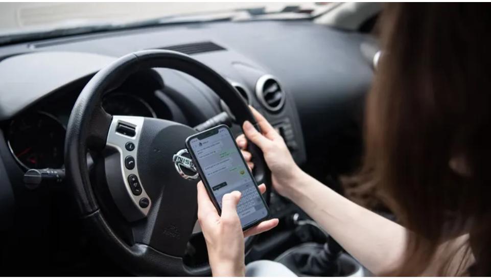 顶级富豪拍卖会收藏的藏品,奥地利女富豪