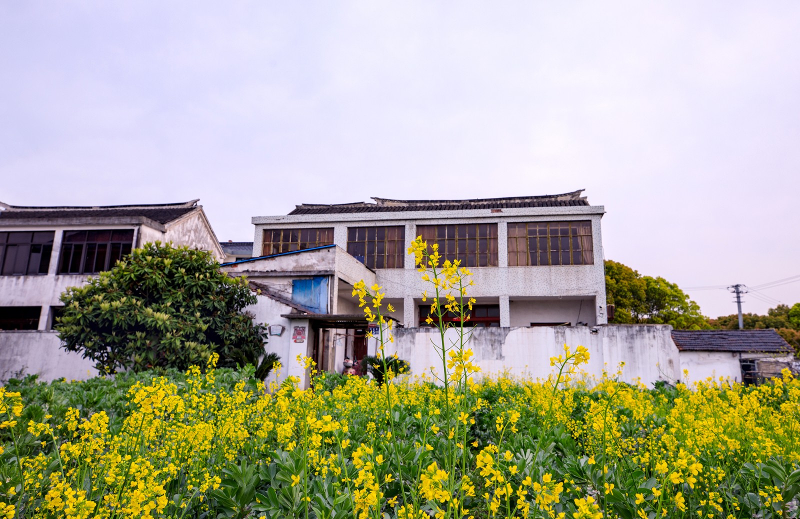 沙家浜景区诗句,沙家浜芦荡在什么地方