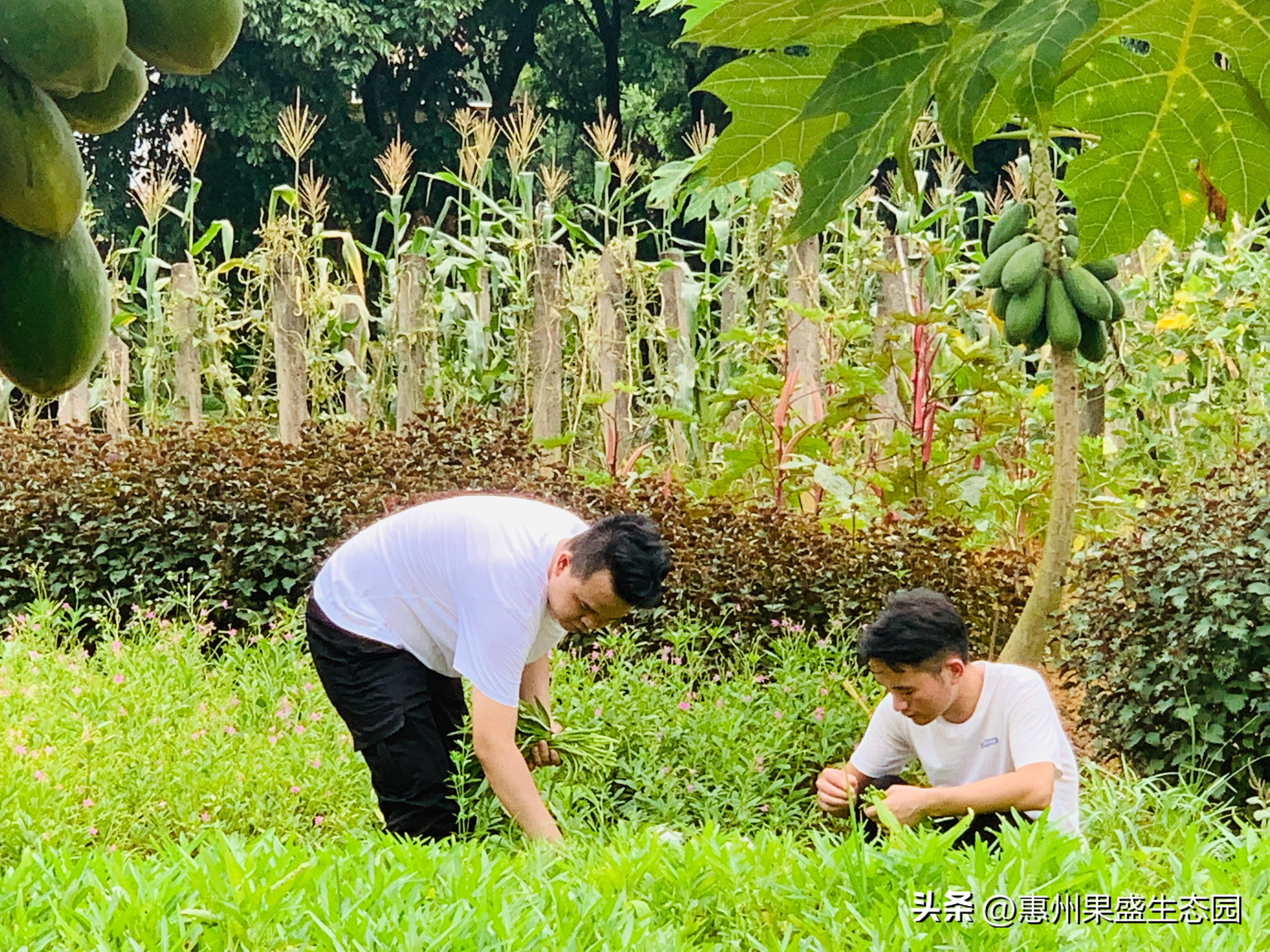 惠州企业团建农家乐推荐,惠州公司拓展团建推荐