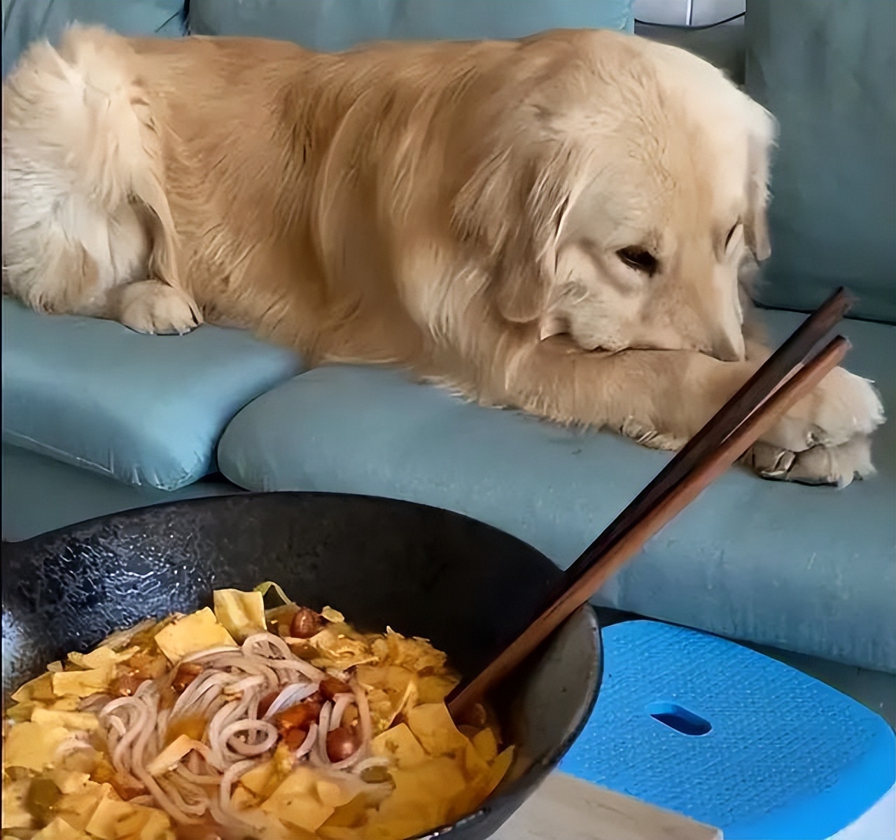 螺蛳粉味儿的樱花,带螺蛳粉味的樱花