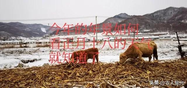 天气预报：今年的年景如何？正月十八的天气能预兆？农谚咋说的