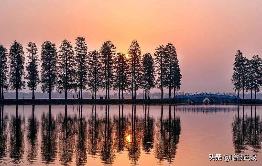 <html>
<head><title>502BadGateway</title></head>
<body>
<center><h1>502BadGateway</h1></center>
<hr><center>nginx</center>
</body>
</html>
<!--apaddingtodisableMSIEandChromefriendlyerrorpage-->
<!--apaddingtodisableMSIEandChromefriendlyerrorpage-->
<!--apaddingtodisableMSIEandChromefriendlyerrorpage-->
<!--apaddingtodisableMSIEandChromefriendlyerrorpage-->
<!--apaddingtodisableMSIEandChromefriendlyerrorpage-->
<!--apaddingtodisableMSIEandChromefriendlyerrorpage-->
