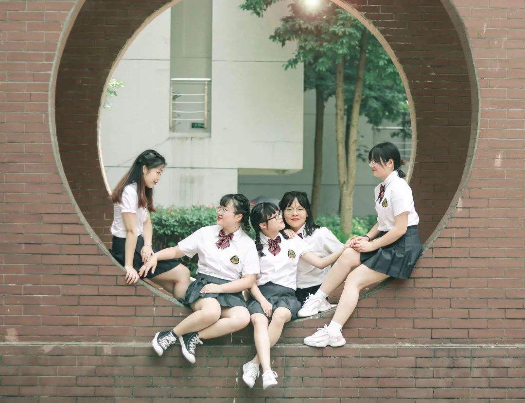 校友系统运营,校友管理系统厂家