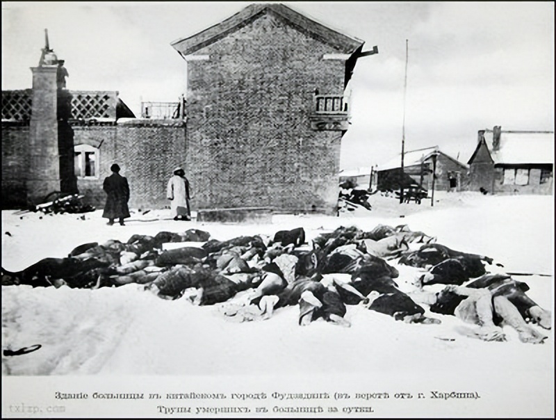 1945哈尔滨鼠疫,抗击东北鼠疫