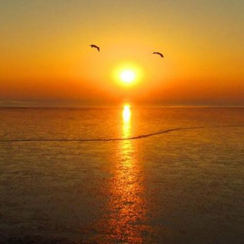 兴趣是最好的老师作文记叙文,兴趣是最好的老师高中作文800字